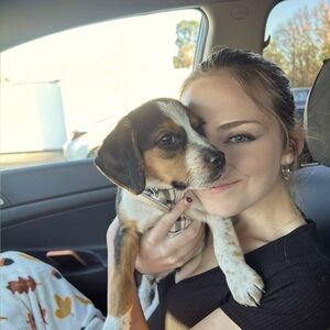 Meet your Posher, Annika